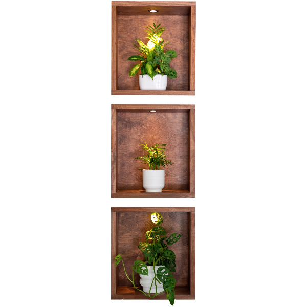 3D effect wall sticker 7x24 Plant niches