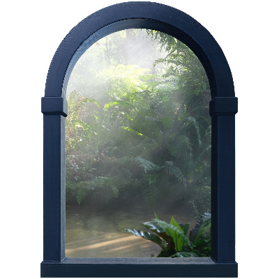 Window sticker wallpaper 17x24 Mysterious jungle