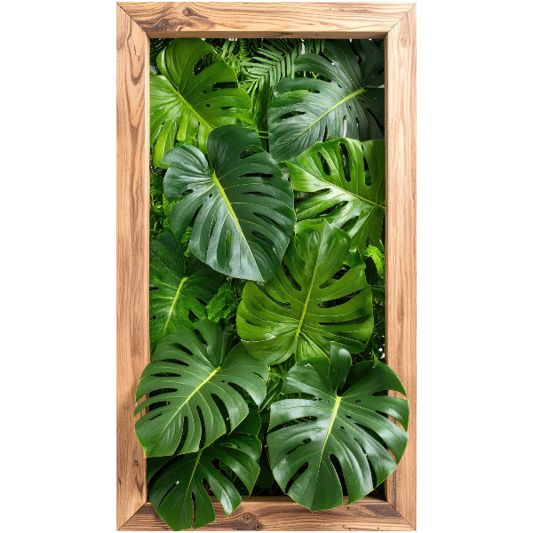 Window sticker wallpaper 13x24 Monstera leaves