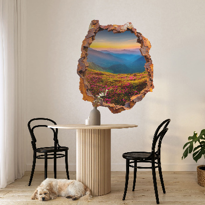 3D wall hole wallpaper 20x24 Flower mountains
