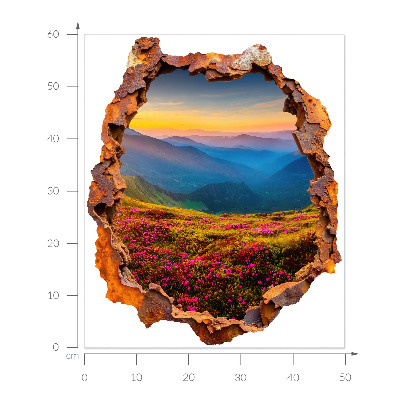 3D wall hole wallpaper 20x24 Flower mountains