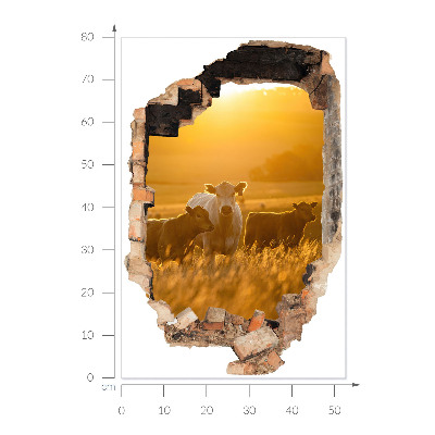 3D wall hole wallpaper 21x31 Rural landscape