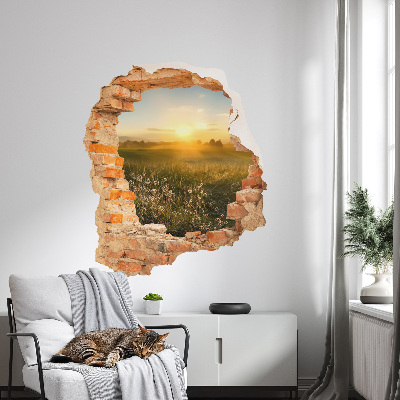 3D wall hole wallpaper 27x31 Sunny meadow