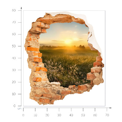 3D wall hole wallpaper 27x31 Sunny meadow