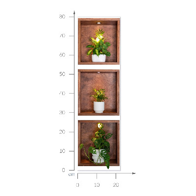 3D effect wall sticker 9x31 Plant niches