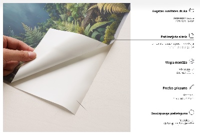 Window sticker wallpaper 25x31 Tropical landscape