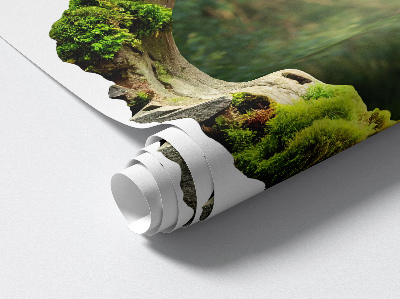 3D wall hole wallpaper 29x31 Forest idyll