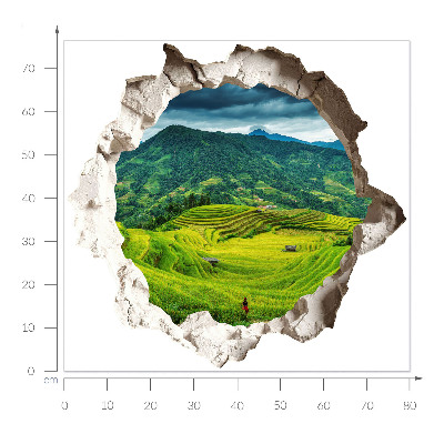 3D wall hole wallpaper 31x30 Green terraces