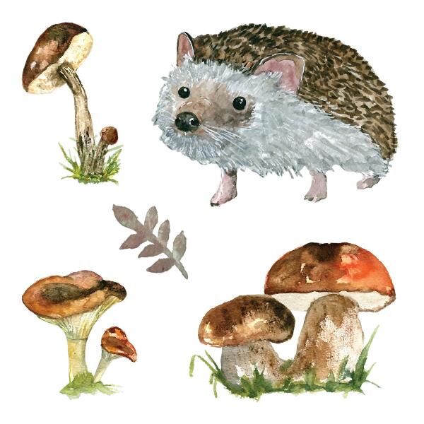 Wall sticker 100x155 Forest composition of plants and animals in watercolor
