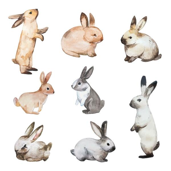 Wall sticker 130x235 Pastel bunnies in watercolor technique