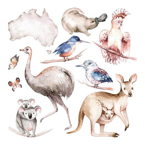 Wall sticker 60x76 Australian fauna in delicate pastels