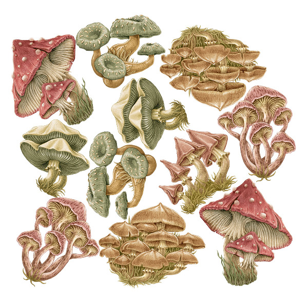 Wall sticker 60x24 Forest mushrooms in pastel cartoon style