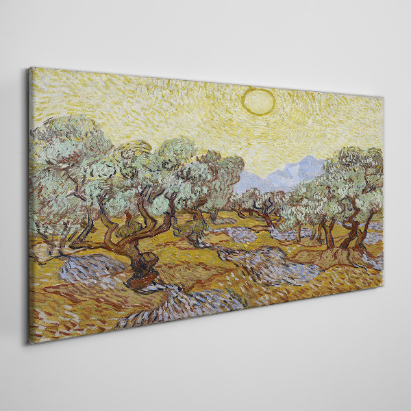 Olive trees in the sun Canvas print