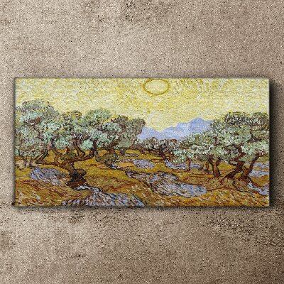 Olive trees in the sun Canvas print