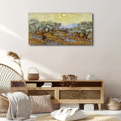 Olive trees in the sun Canvas print