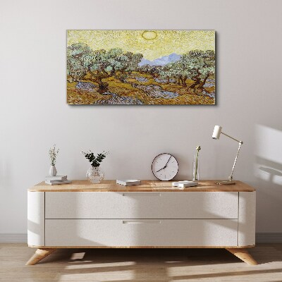 Olive trees in the sun Canvas print