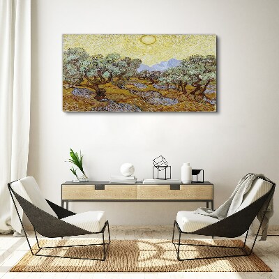 Olive trees in the sun Canvas print