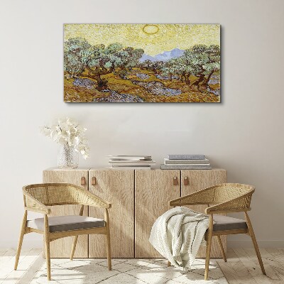 Olive trees in the sun Canvas print