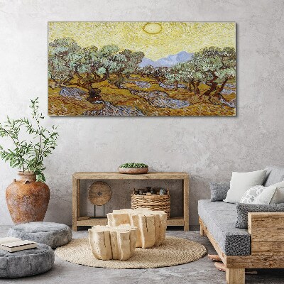 Olive trees in the sun Canvas print