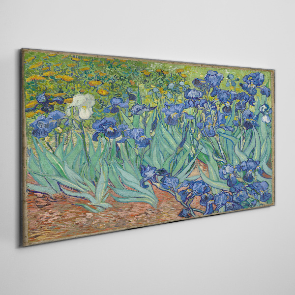 Irises in the garden Canvas print