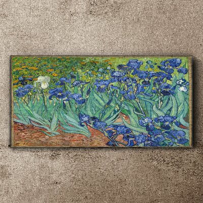 Irises in the garden Canvas print