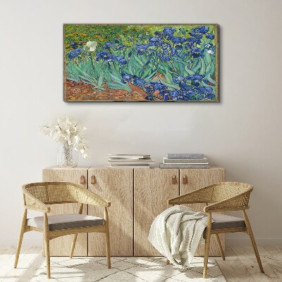 Irises in the garden Canvas print
