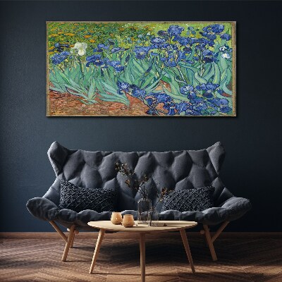 Irises in the garden Canvas print