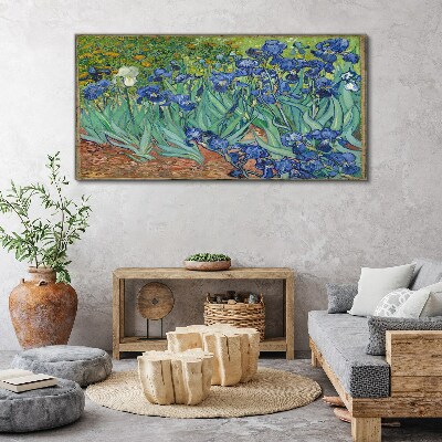 Irises in the garden Canvas print