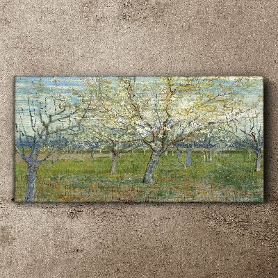 Flowering trees in the spring sun Canvas Wall art