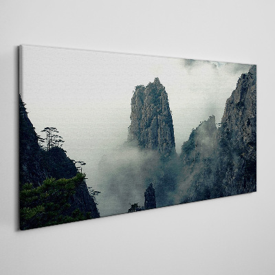 Fog up the tree clouds Canvas print