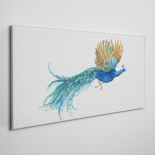 Colorful peacock in motion Canvas print