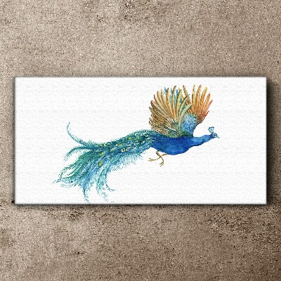 Colorful peacock in motion Canvas print