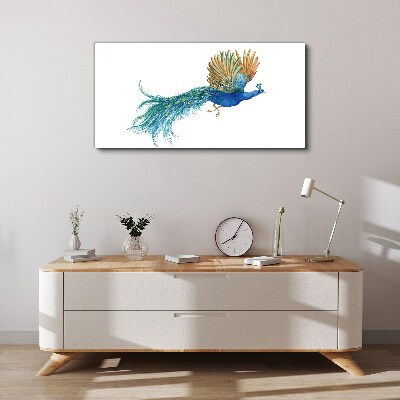 Colorful peacock in motion Canvas print
