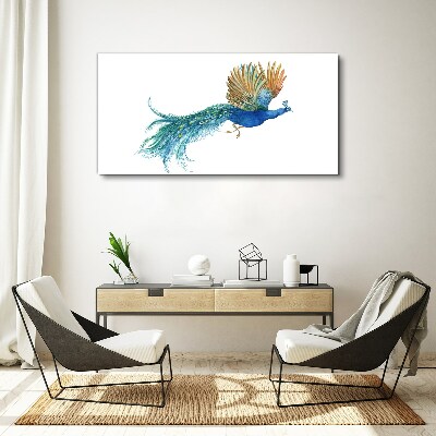 Colorful peacock in motion Canvas print