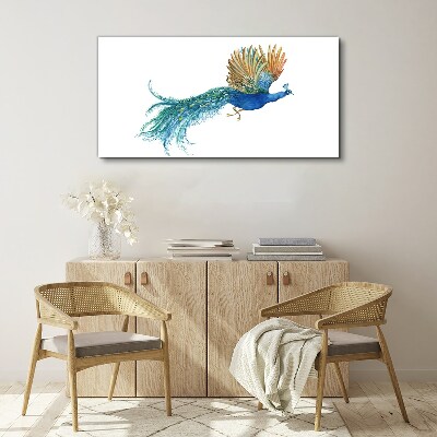 Colorful peacock in motion Canvas print