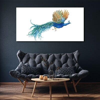 Colorful peacock in motion Canvas print
