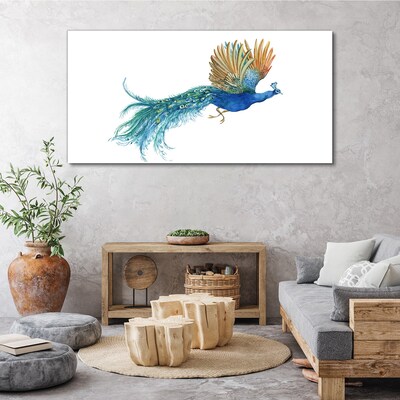 Colorful peacock in motion Canvas print