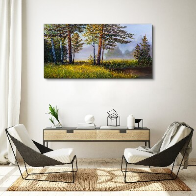 Morning fog in the forest Canvas print
