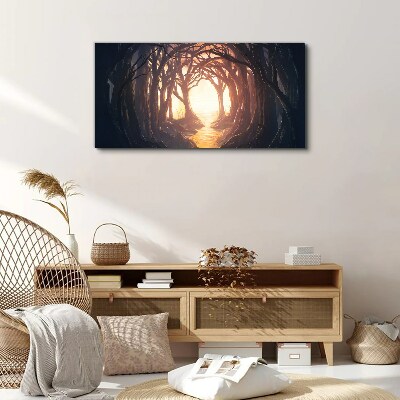 Light in the forest Canvas print