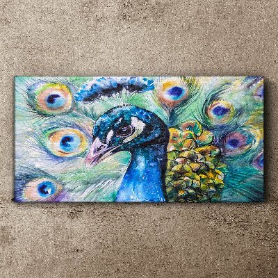 Colorful peacock among feathers Canvas print