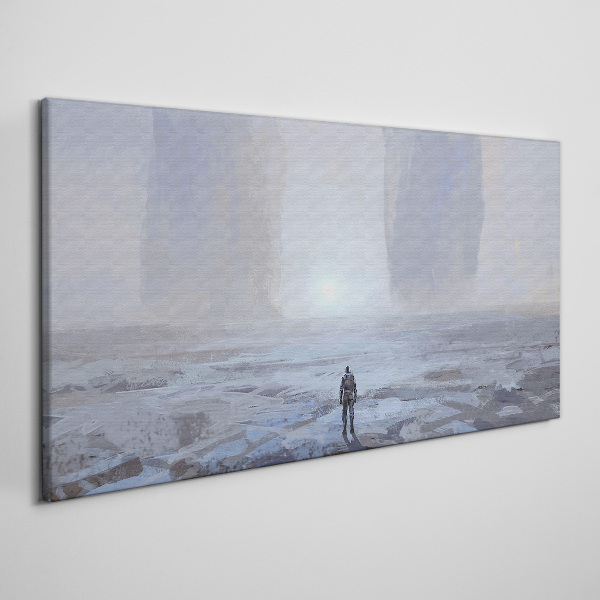 Wandering alone in a misty space Canvas print