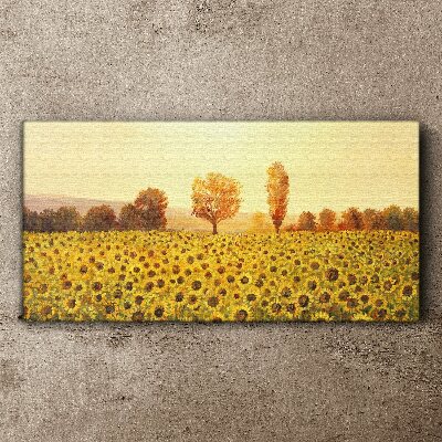 Sunflower field in the setting sun Canvas print