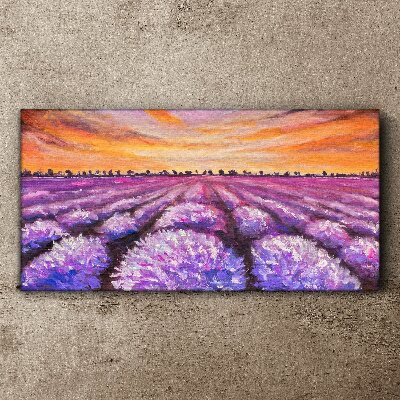 Purple lavender fields at sunset Canvas print