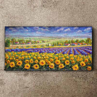 Flower landscape in the sunlight Canvas Wall art