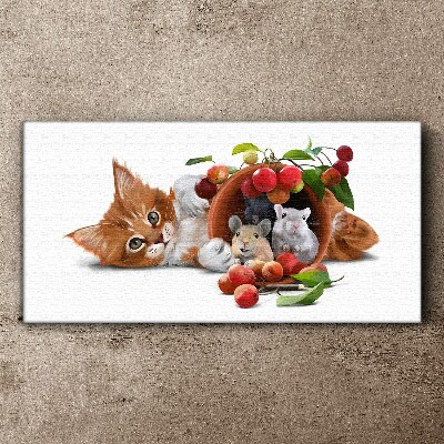 Image glass animals cat rats fruit Canvas Wall art