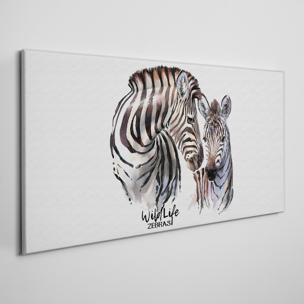 Zebra in the wild Canvas print