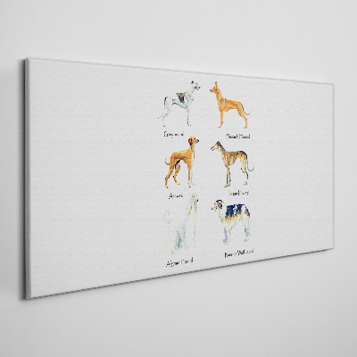 Breeds of dogs of the chrts Canvas print