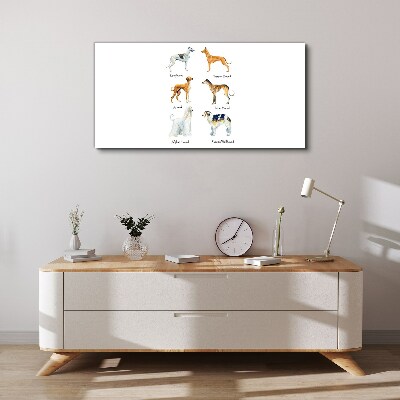 Breeds of dogs of the chrts Canvas print