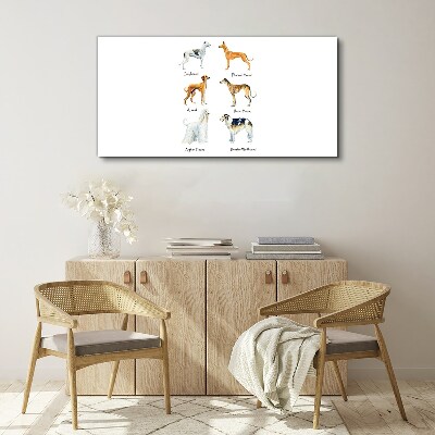 Breeds of dogs of the chrts Canvas print