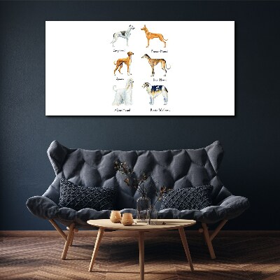 Breeds of dogs of the chrts Canvas print